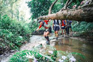 BIB: 
                            <button type="button" onclick="openModal(25459028)" class="btn btn-primary btn-sm float-right btn-popup" data-toggle="modal" data-target=".modal-high-quality">
                        <i class="fas fa-shopping-cart"></i> Add to Cart
                    </button>
                                            <button type="button" onclick="isThisMe(25459028, true)" class="btn btn-success btn-sm float-right btn-popup btn-isme hidden" data-toggle="tooltip" data-placement="bottom" title="นี่คือรูปของคุณใช่ไหม คลิกที่นี่เพื่อเอาเข้าอัลบั้ม">
                        <i class="fas fa-plus"></i> Add to album
                    </button>
                    <button type="button" onclick="isThisMe(25459028, false)" class="btn btn-warning btn-sm float-right btn-popup btn-isnotme hidden">
                        <i class="fas fa-ban"></i> Remove from album
                    </button>